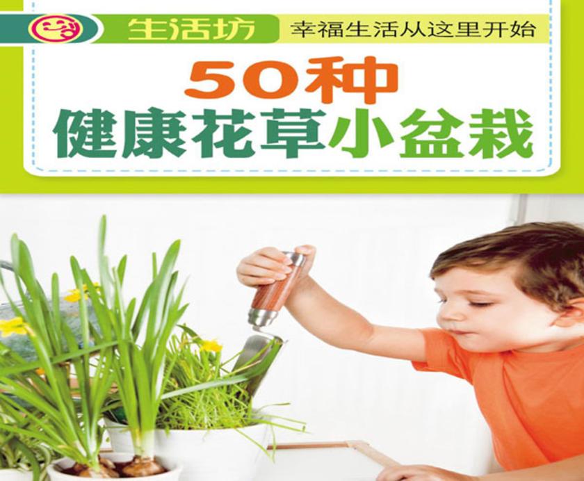 50种健康花草小盆栽