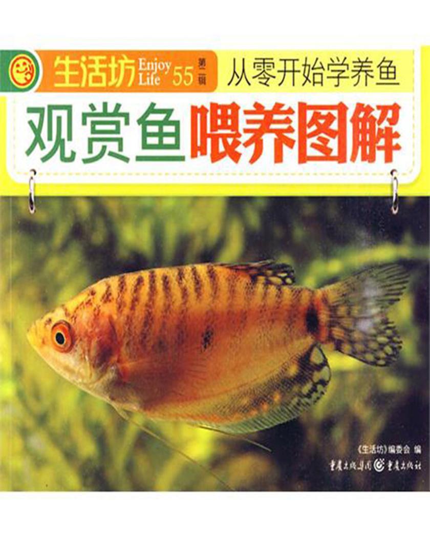 观赏鱼喂养图解