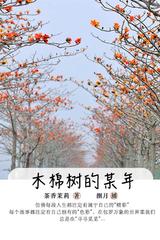 木棉树的某年