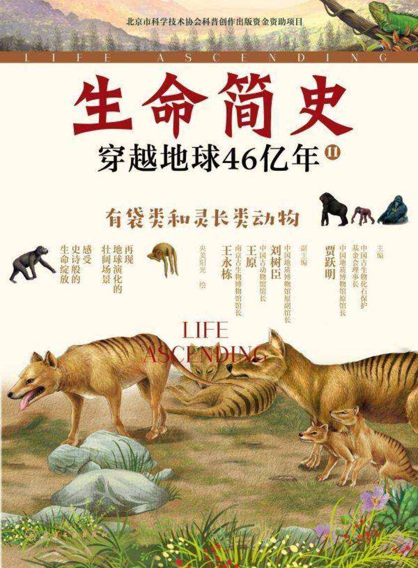 生命简史:穿越地球46亿年.有袋类和灵长类动物