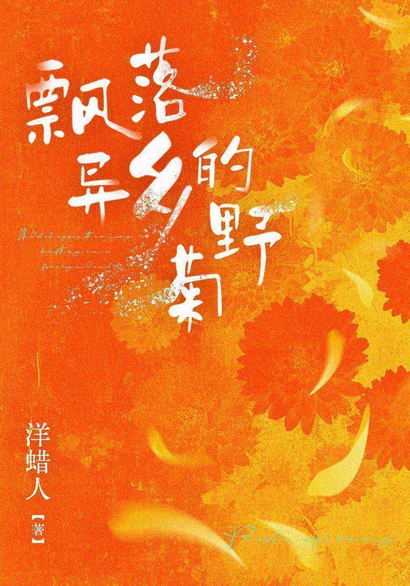 飘落异乡的野菊