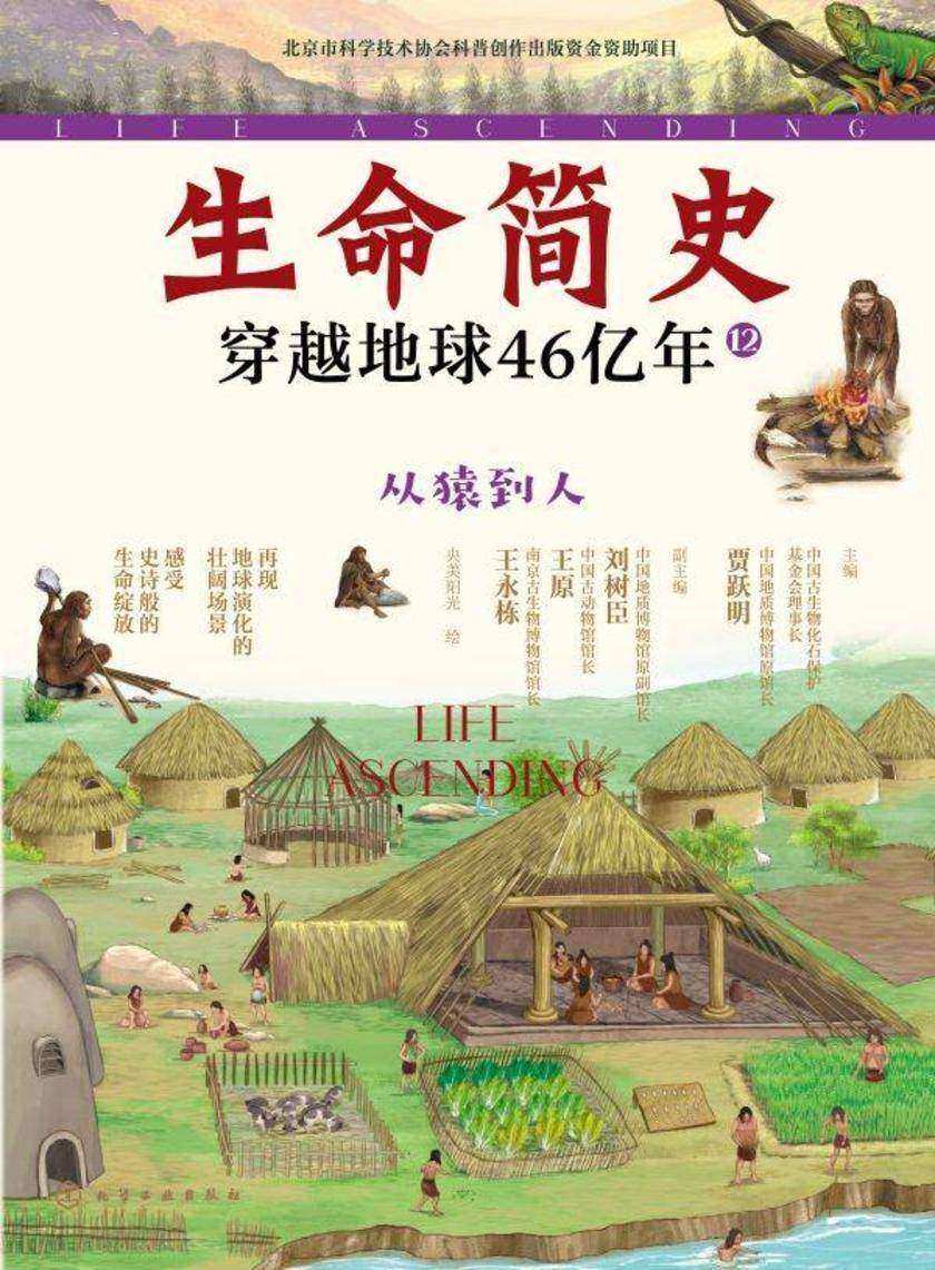 生命简史:穿越地球46亿年.从猿到人