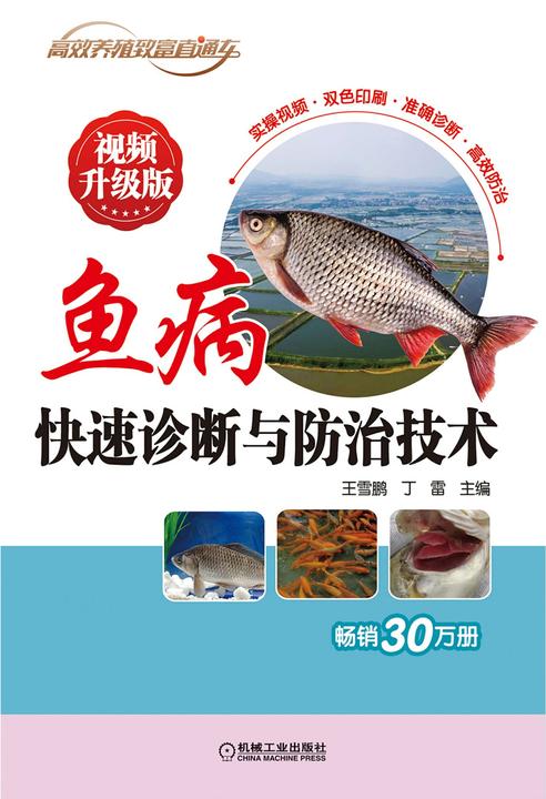 鱼病快速诊断与防治技术 视频升级版
