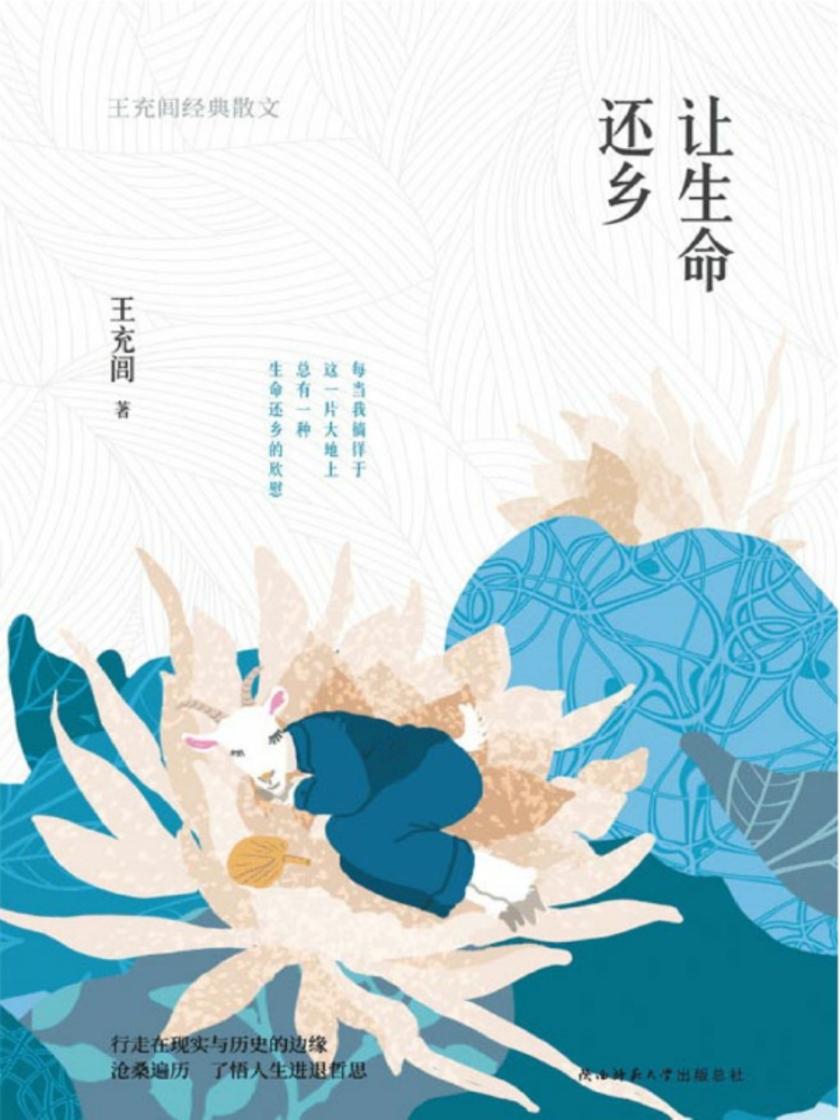 让生命还乡：王充闾经典散文