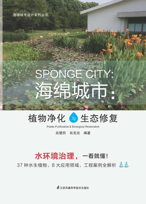 海绵城市——植物净化与生态修复