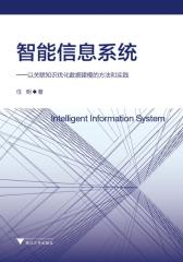 智能信息系统——以关联知识优化数据建模的方法和实践