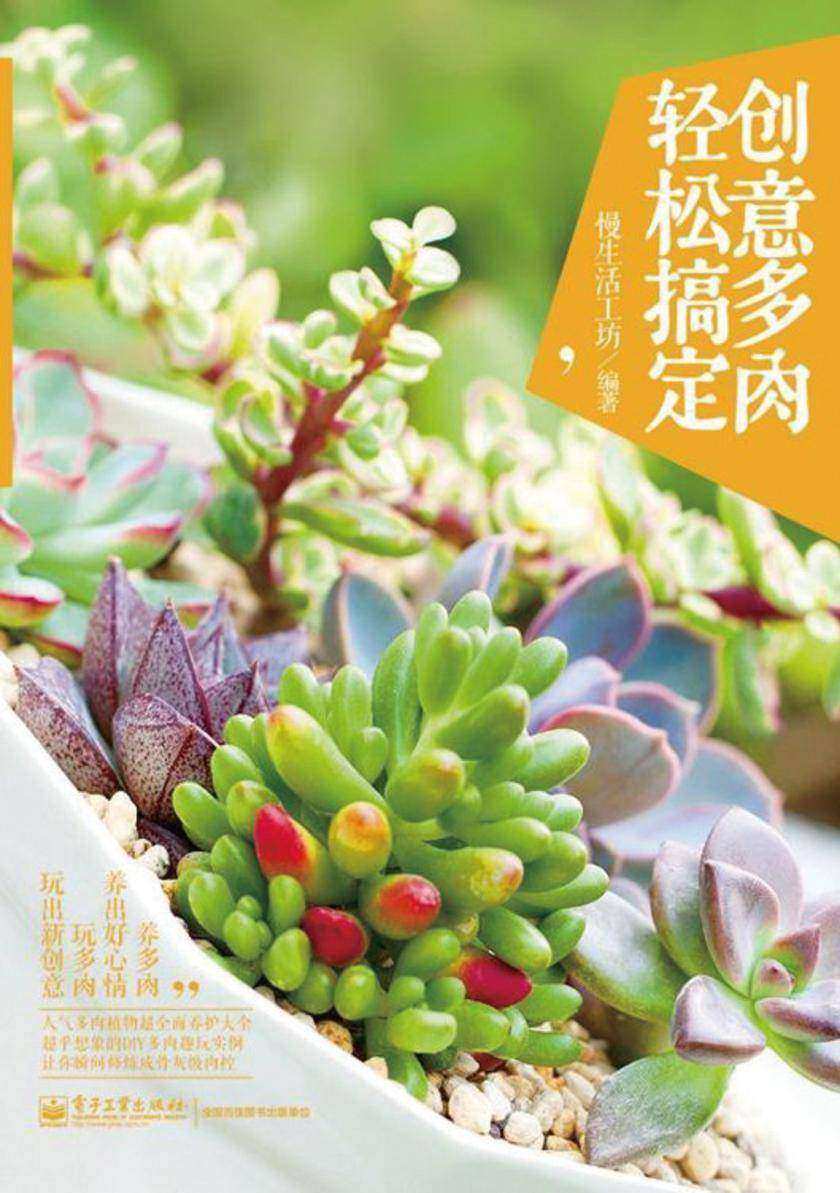 创意多肉,轻松搞定