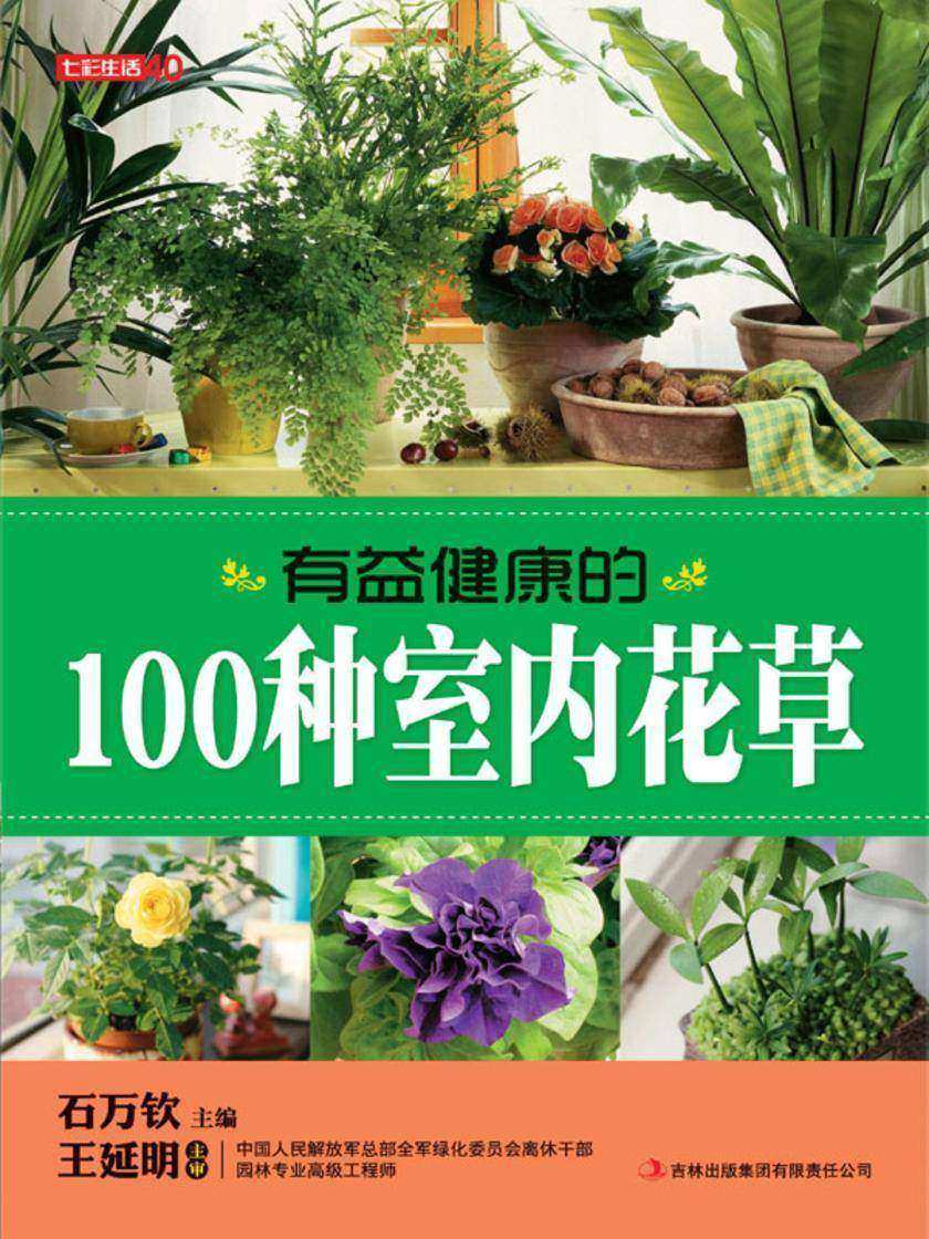 有益健康的100种室内花草