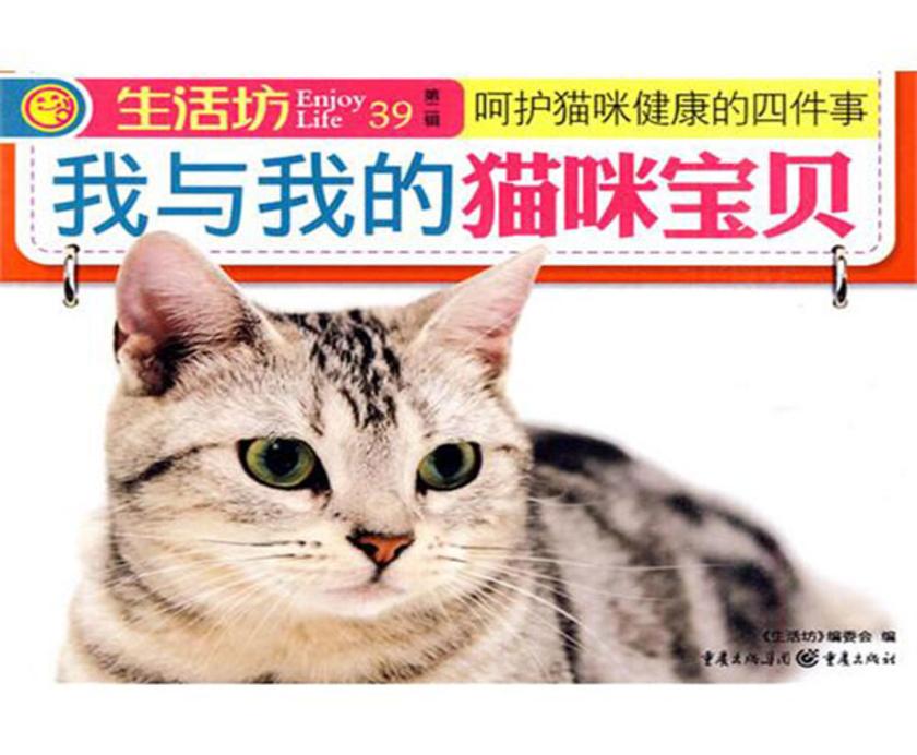 我与我的猫咪宝贝