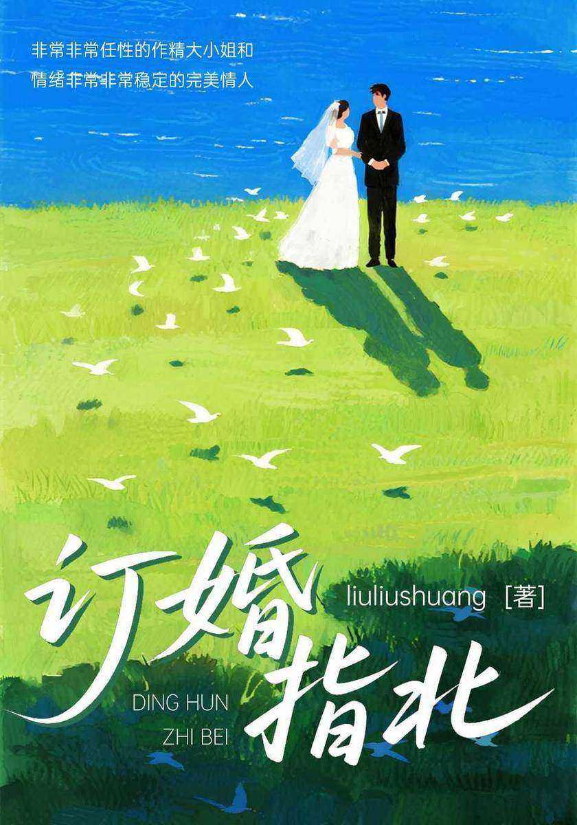 订婚指北