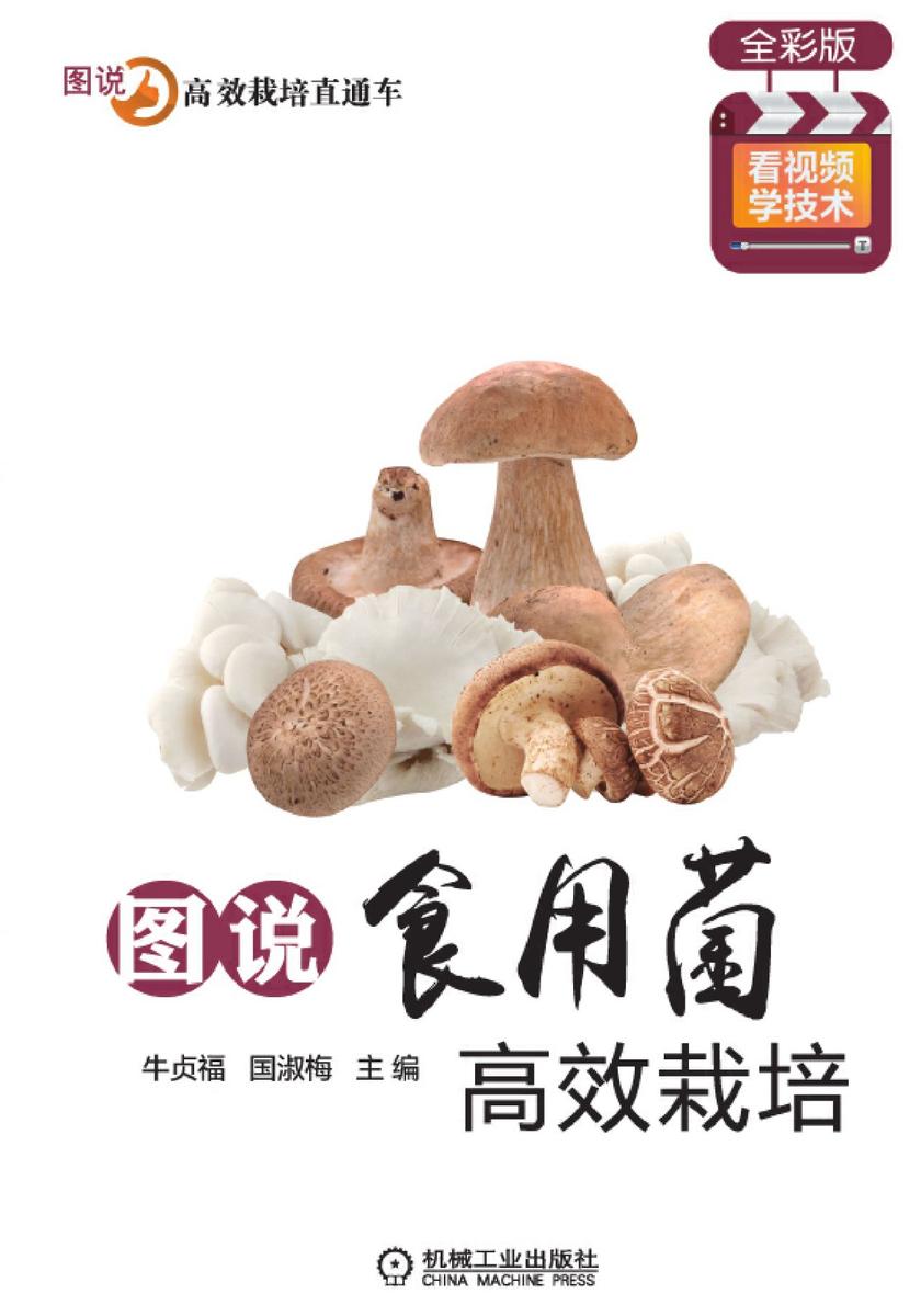 图说食用菌高效栽培(全彩版)