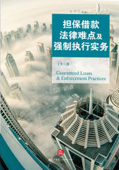 担保借款法律难点及强制执行实务