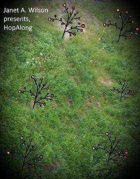 HopAlong: Mysterious Creature