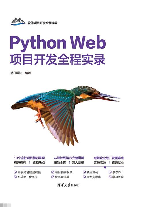 Python Web项目开发全程实录