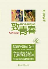 致我们终将逝去的青春