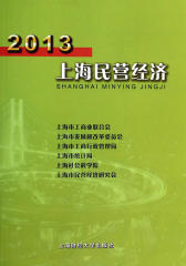2013上海民营经济