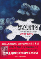 黑色拼图(试读本)