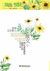 把心灵安放在自然之中
