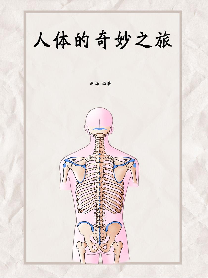 人体的奇妙之旅
