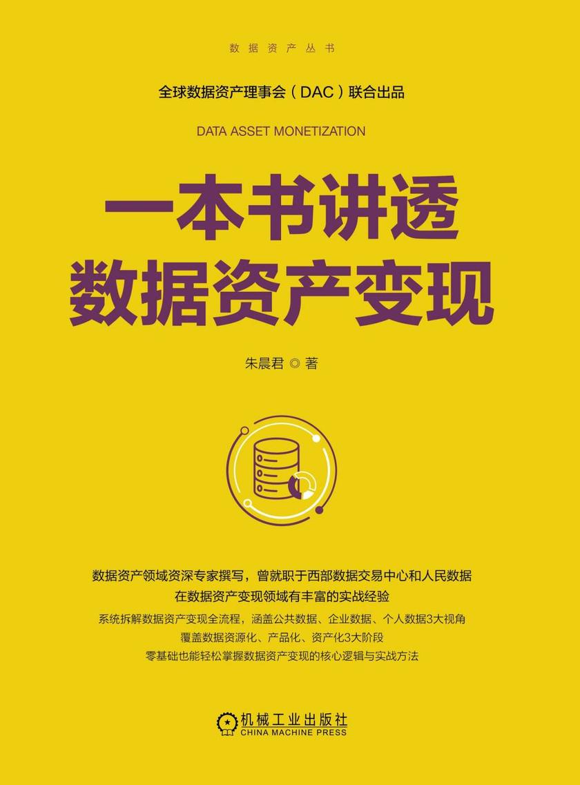 一本书讲透数据资产变现