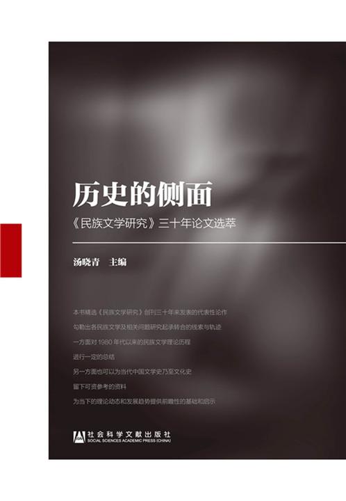 历史的侧面：《民族文学研究》三十年论文选萃