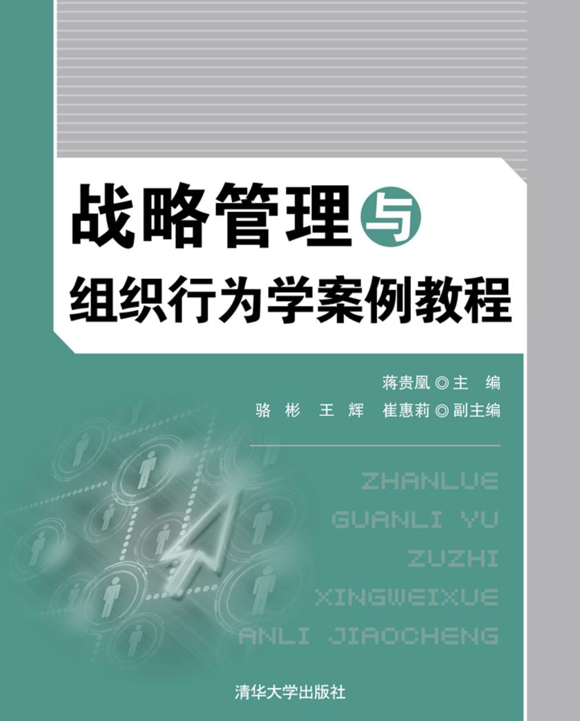 战略管理与组织行为学案例教程