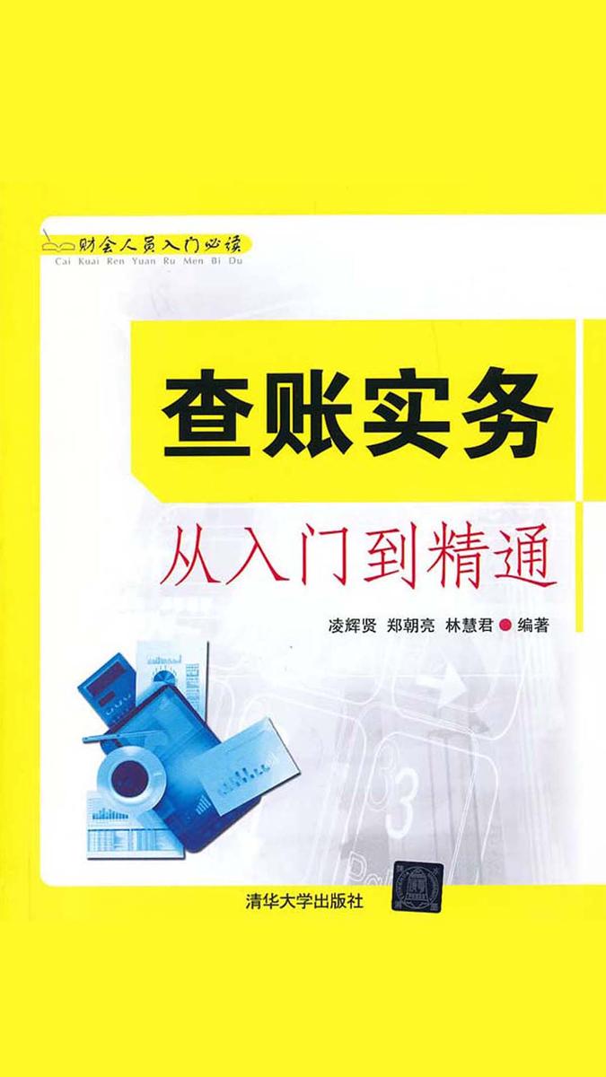 查账实务从入门到精通
