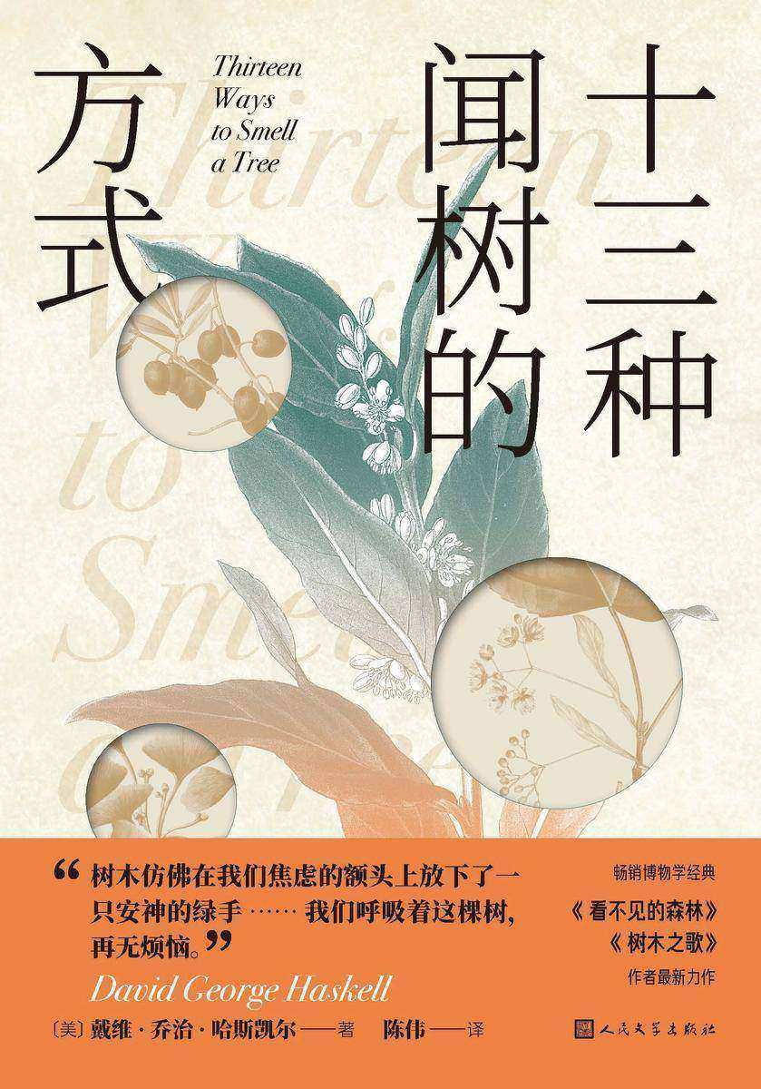 十三种闻树的方式