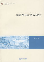 慈善性公益法人研究(试读本)