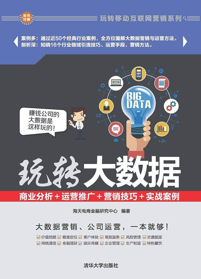 玩转大数据：商业分析＋运营推广＋营销技巧＋实战案例