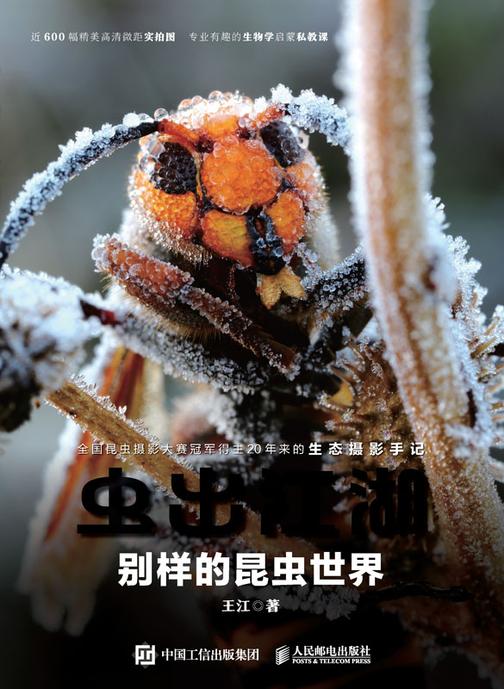 虫出江湖:别样的昆虫世界