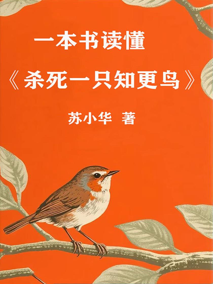 一本书读懂《杀死一只知更鸟》