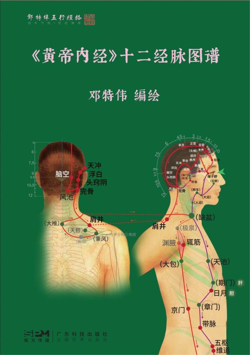 《黄帝内经》十二经脉图谱
