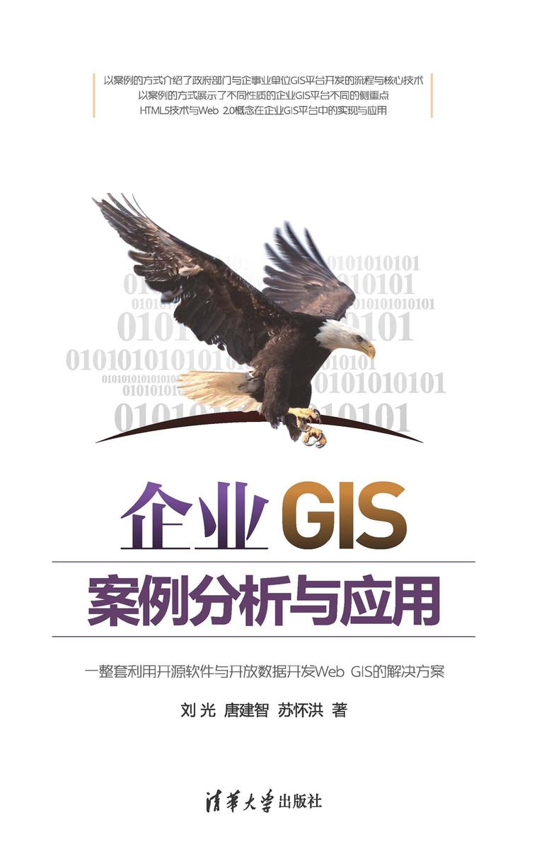 企业GIS案例分析与应用