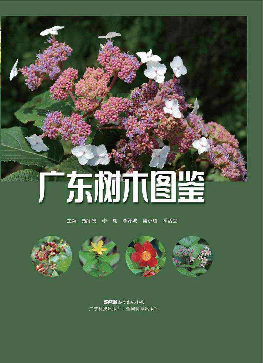 广东树木图鉴