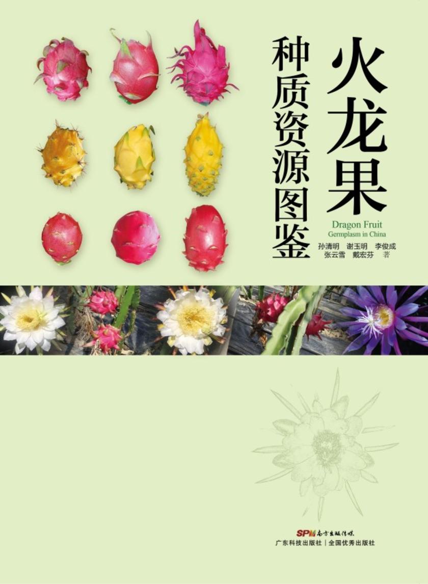 火龙果种质资源图鉴