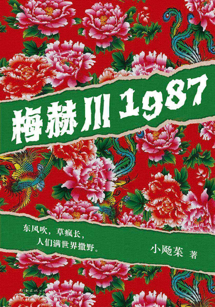 梅赫川1987