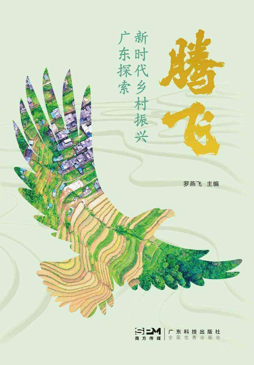 腾飞:新时代乡村振兴广东探索