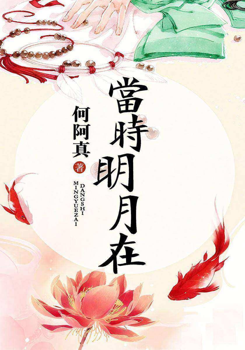 当时明月在