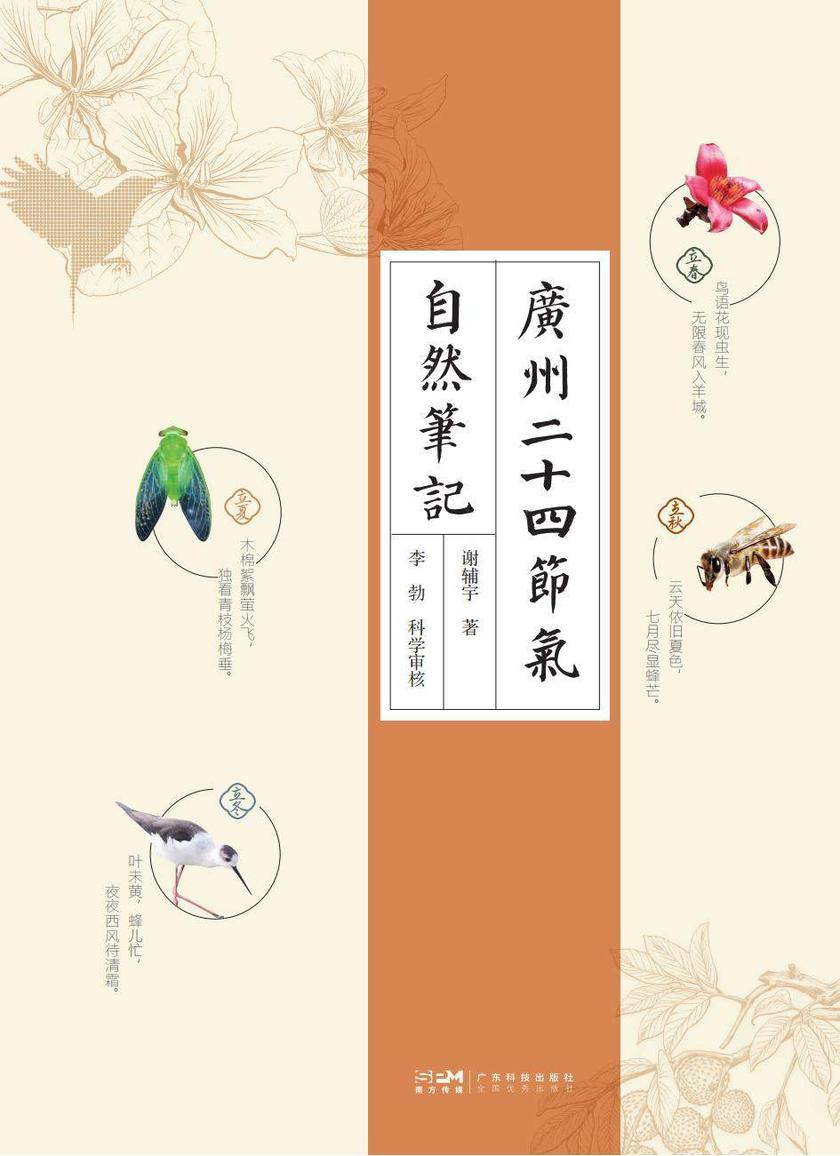 广州二十四节气自然笔记