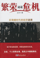 繁荣还是危机？：后海啸时代的经济迷局