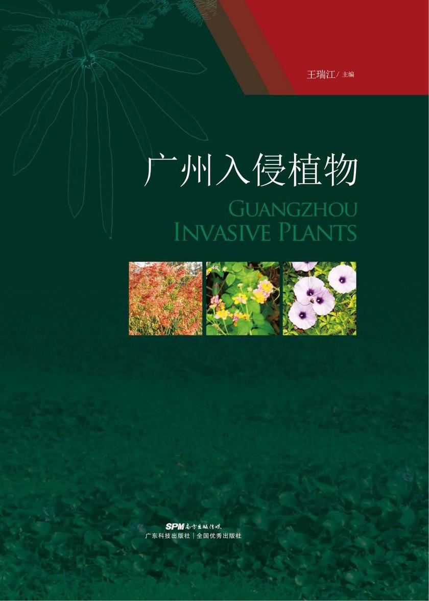 广州入侵植物