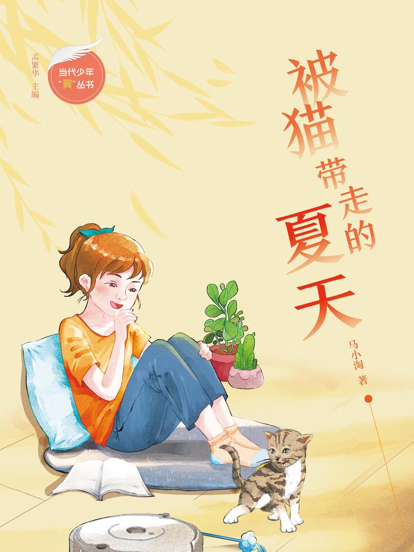 被猫带走的夏天