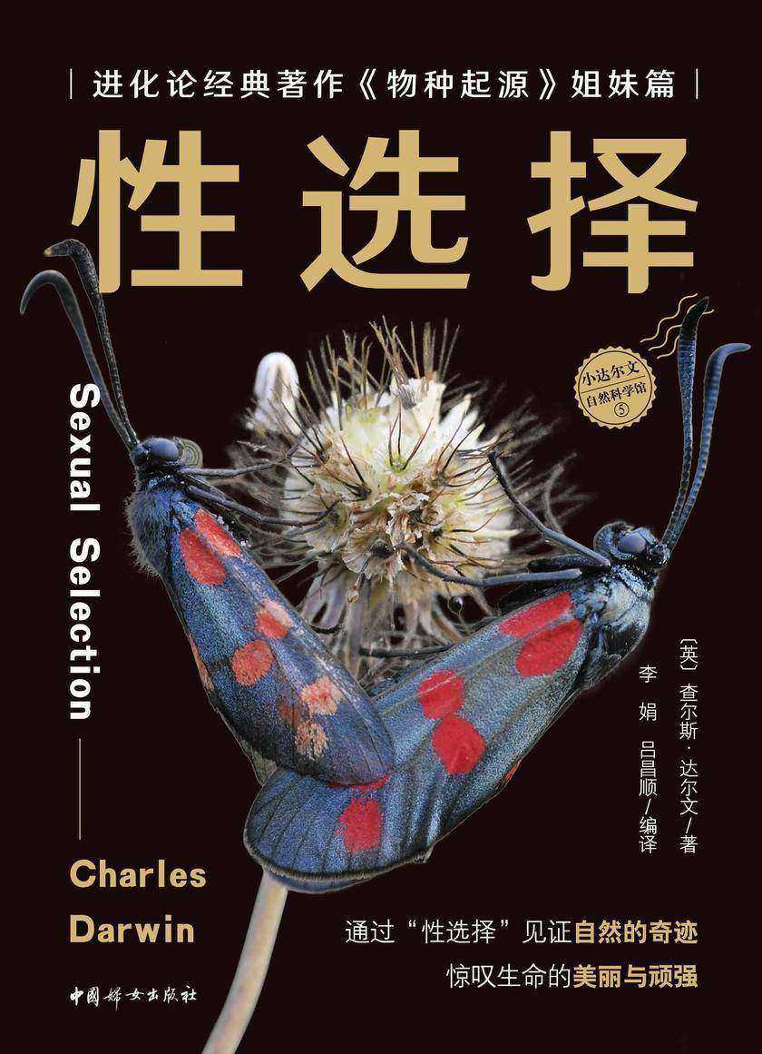 性选择