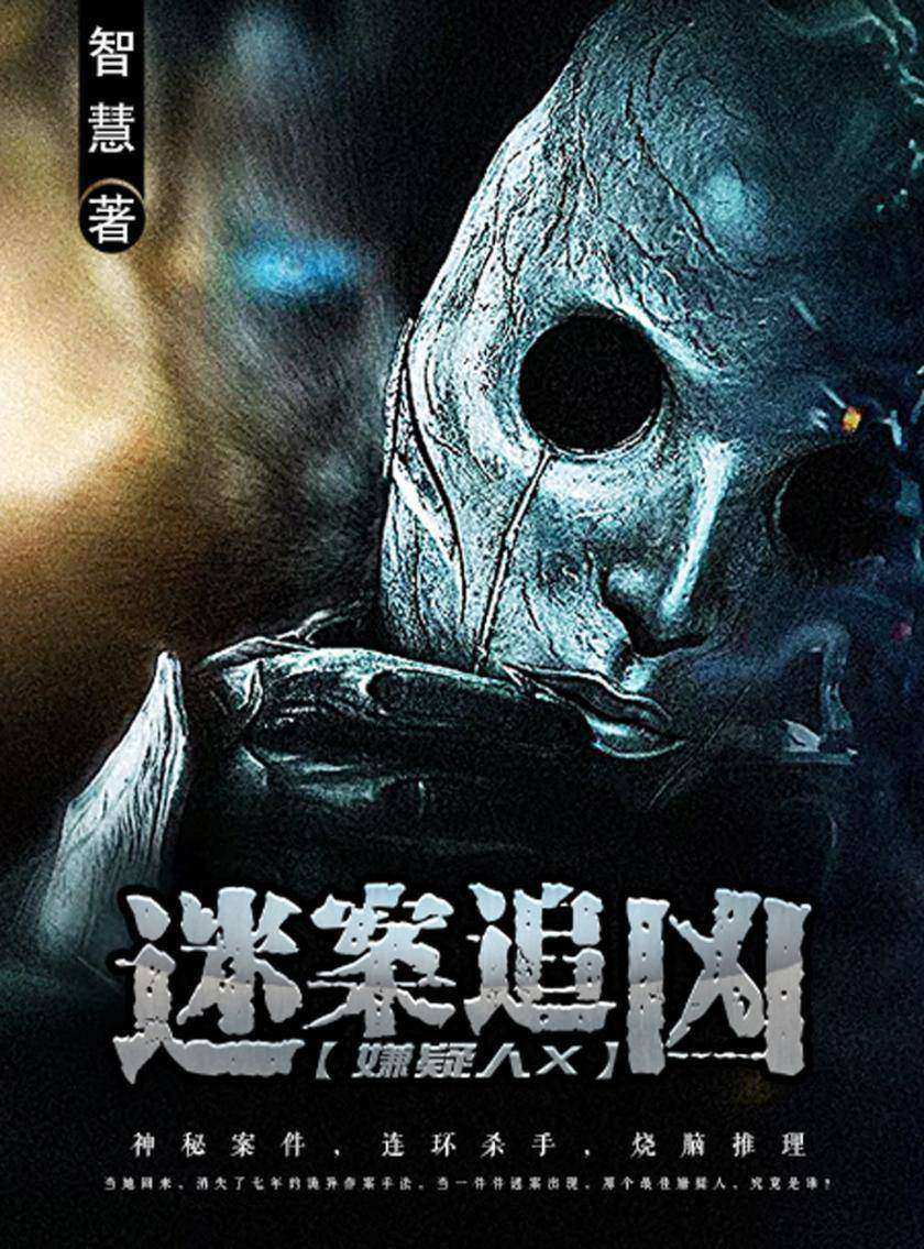 迷案追凶:嫌疑人X