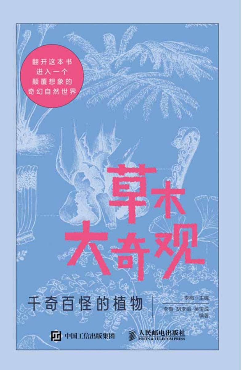 草木大奇观 千奇百怪的植物