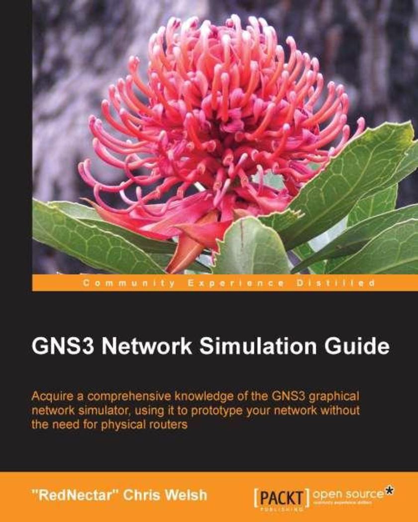 GNS3 Network Simulation Guide