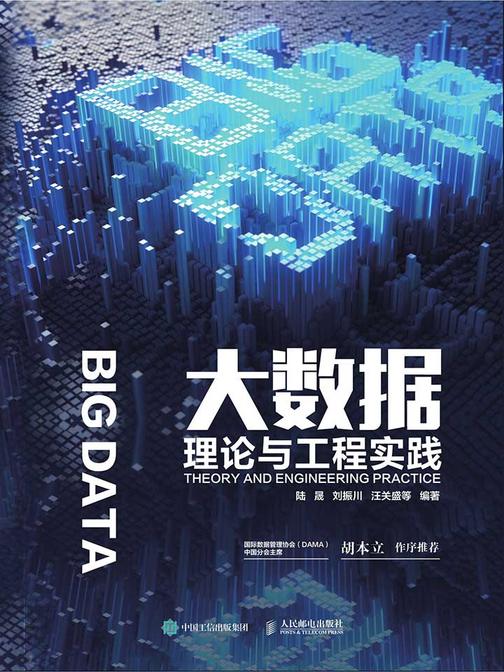 大数据理论与工程实践