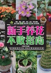 新手养花不败指南