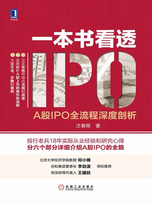 一本书看透IPO：A股IPO全流程深度剖析
